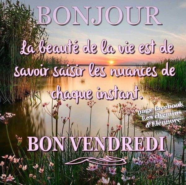 bonjour à vous tous !