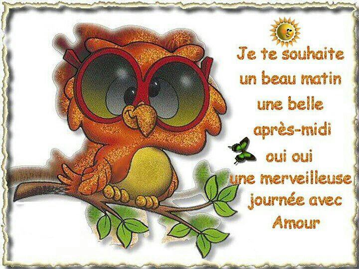 Bonjour Vous Toutes Et Tous